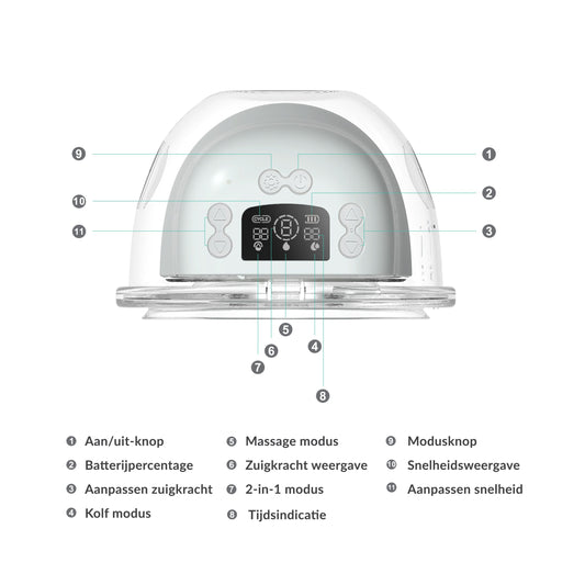 Nutrea – EasyFlow – Motor